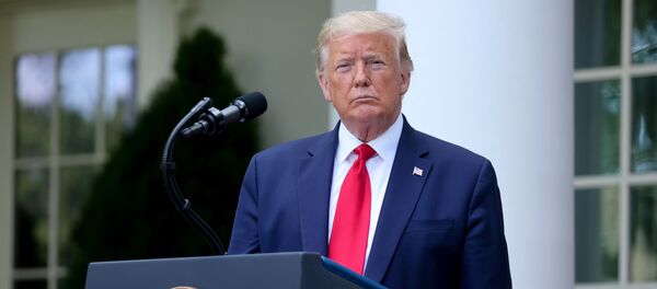 دونالد ترامپ دونالد ترامپ - اسپوتنیک ایران