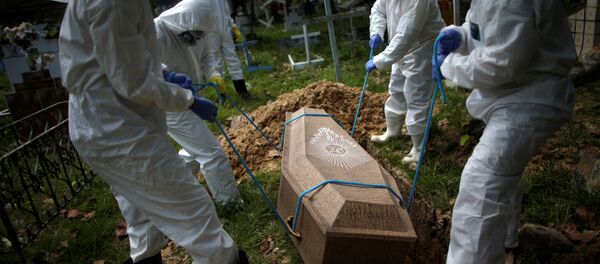 برزیل از نظر شمار قربانیان ویروس کرونا از انگلیس پیشی گرفت - اسپوتنیک ایران  