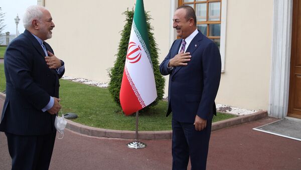 ظریف و چاووش اوغلو وزرای امور خارجه ایران و ترکیه - اسپوتنیک ایران  