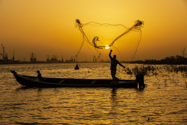 ماهیگیری در شهر بصره عراق - اسپوتنیک ایران  