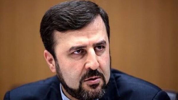 نماینده دائم ایران در وین، مبارزه با مواد مخدر را مسئولیت مشترک اعلام کرد - اسپوتنیک ایران  