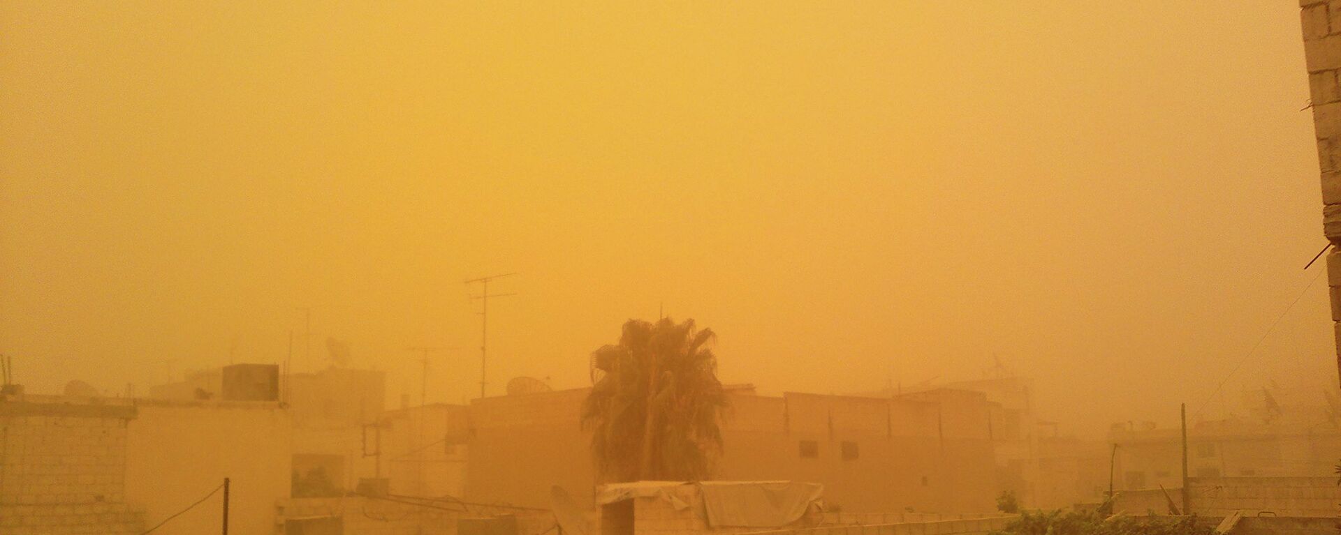 تصاویری از قدرتمندترین طوفان شن و ماسه در آفریقا و کشورهای خلیج فارس + ویدئو  - اسپوتنیک ایران  , 1920, 14.03.2021