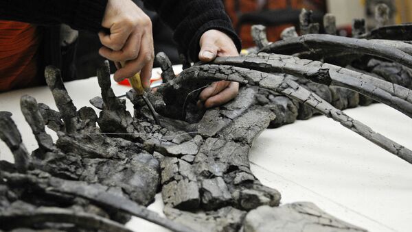 کشف نوع جدید دایناسورها در شمال آلاسکا - اسپوتنیک ایران  