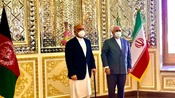 در دیدار ظریف و اتمر چه گذشت؟ - اسپوتنیک ایران  