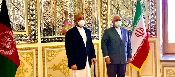 در دیدار ظریف و اتمر چه گذشت؟ - اسپوتنیک ایران  