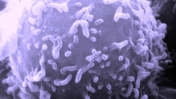 سیستم ایمنی با ابتلا به کرونا ویروس با ارگان های بدن نیز می‌جنگد - اسپوتنیک ایران  
