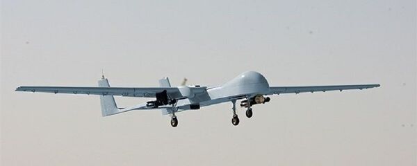 ساخت پهپاد برای تجسس های مرزبانی در ایران ساخت پهپاد برای تجسس های مرزبانی در ایران - اسپوتنیک ایران