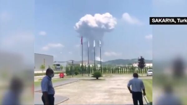 انفجار در کارخانه تولید وسایل آتش بازی در ترکیه - اسپوتنیک ایران  