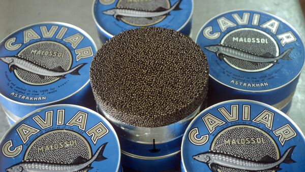 Black caviar - اسپوتنیک ایران  