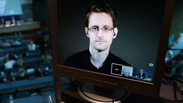 Бывший сотрудник ЦРУ Эдвард Сноуден - اسپوتنیک ایران  