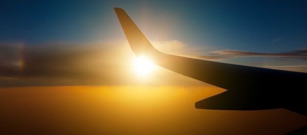 جواب گل های پرپر شده را کی می دهد؟ - اسپوتنیک ایران  