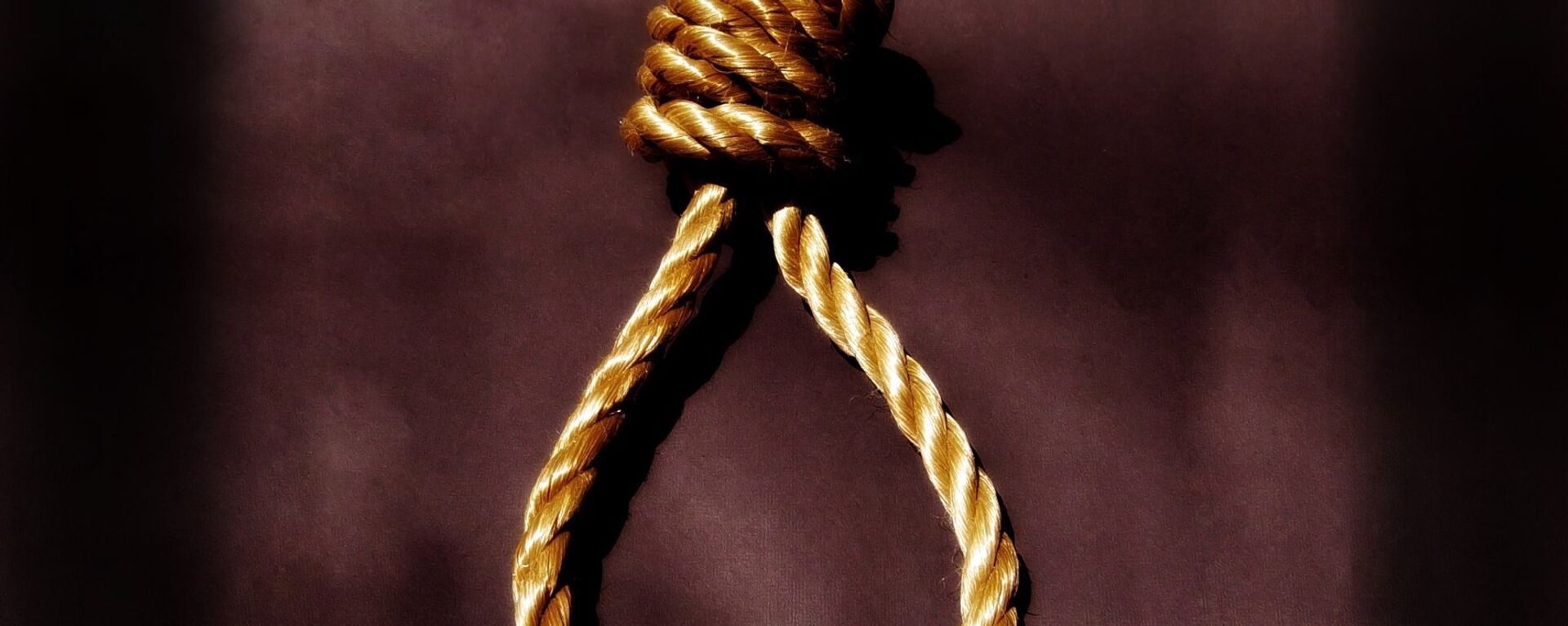 صدور حکم اعدام به جرم جاسوسی در جمهوری اسلامی - اسپوتنیک ایران  , 1920, 11.01.2023