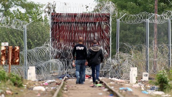 Беженцы из стран Ближнего Востока на сербско-венгерской границе - اسپوتنیک ایران  