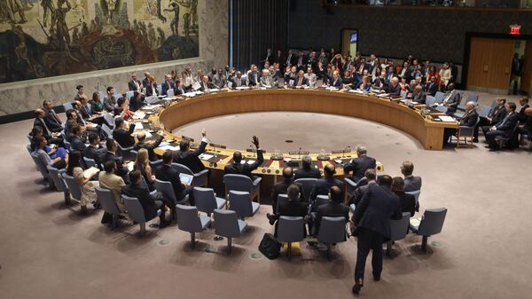 درخواست روسیه برای تشکیل جلسه شورای امنیت سازمان ملل - اسپوتنیک ایران  