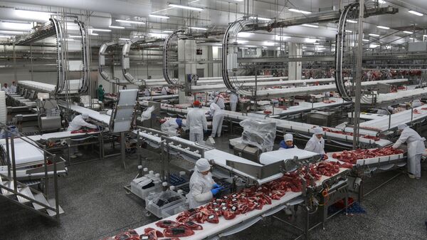 بازرسی دامپزشکان ایرانی از کارخانه های صادر کننده گوشت از روسیه - اسپوتنیک ایران  