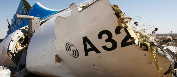 تنها دلیل خرابی هواپیما در هوا ممکن است بر اثر اختلال سیستم مکانیکی باشد - اسپوتنیک ایران  