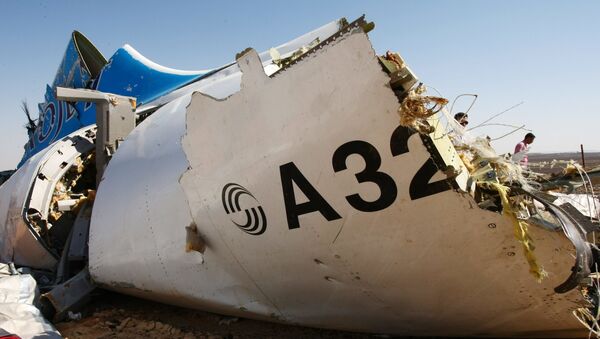تنها دلیل خرابی هواپیما در هوا ممکن است بر اثر اختلال سیستم مکانیکی باشد - اسپوتنیک ایران  