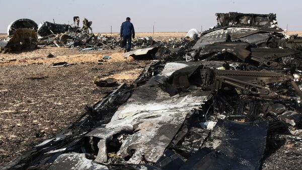 رسانه: کمیسیون مصر احتمال اصابت موشک به هواپیمای A321 را منتفی می داند - اسپوتنیک ایران  