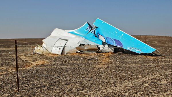 Обломки на месте крушения российского самолета Airbus A321 в Египте - اسپوتنیک ایران  