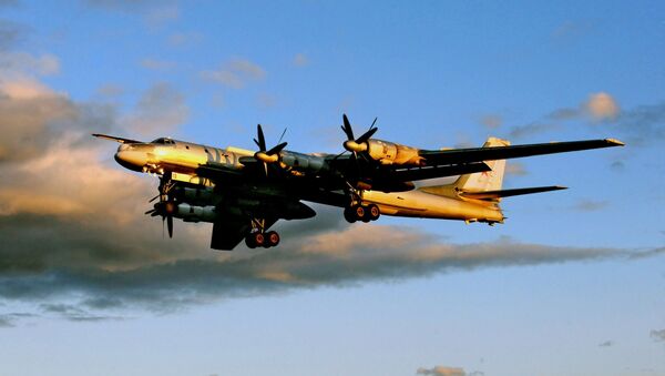 Tu-95MS strategic bomber - اسپوتنیک ایران  