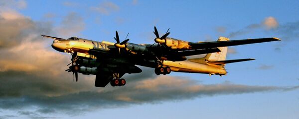 Tu-95 - اسپوتنیک ایران  