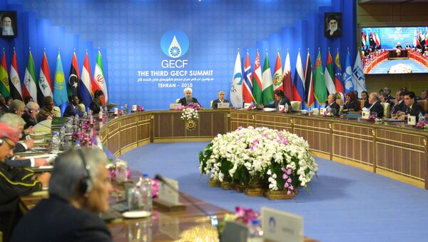 Заседание саммита глав государств и правительств стран-участниц Форума стран-экспортеров газа в Тегеране - اسپوتنیک ایران  