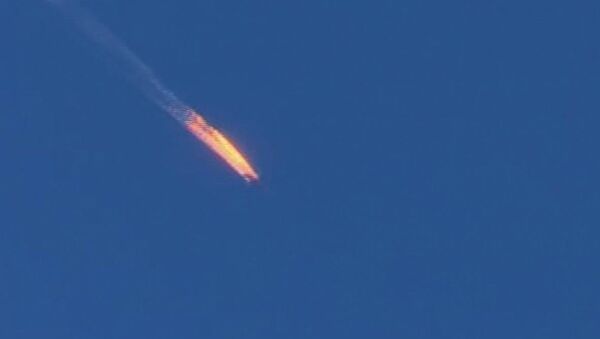 هواپیمای آتشین سو -24 روسیه - اسپوتنیک ایران  
