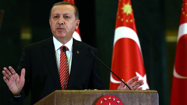 رجب طیب اردوغان  رئیس جمهور  ترکیه - اسپوتنیک ایران  