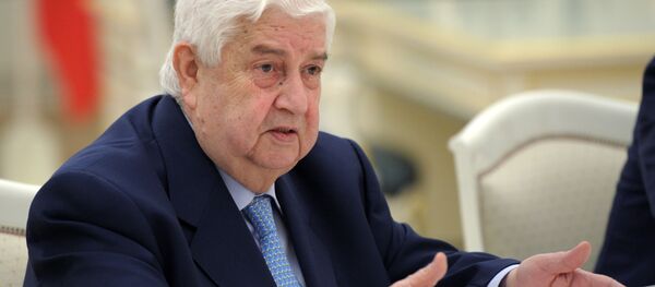 وزیر امور خارجه سوریه با هیئت ایرانی گفتگو کرد وزیر امور خارجه سوریه با هیئت ایرانی گفتگو کرد - اسپوتنیک ایران